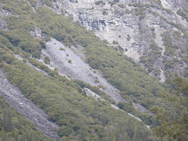 Part of the Big Oak Flat Trail