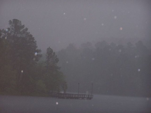 Tstorm Tyler State Park