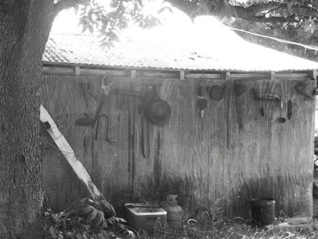 My neighbor's shed