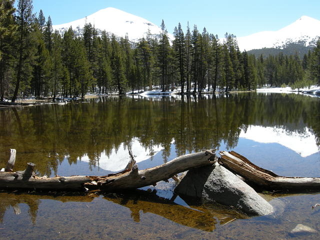 Tarn Near the Mono Pass Trailhead