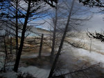 Terraces, Fog, and Dead Trees