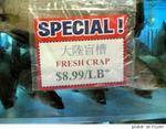 fresh crap