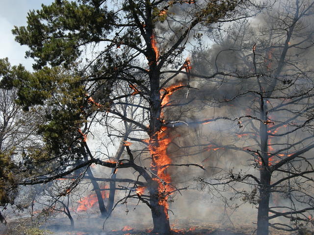 Watsonville Fire