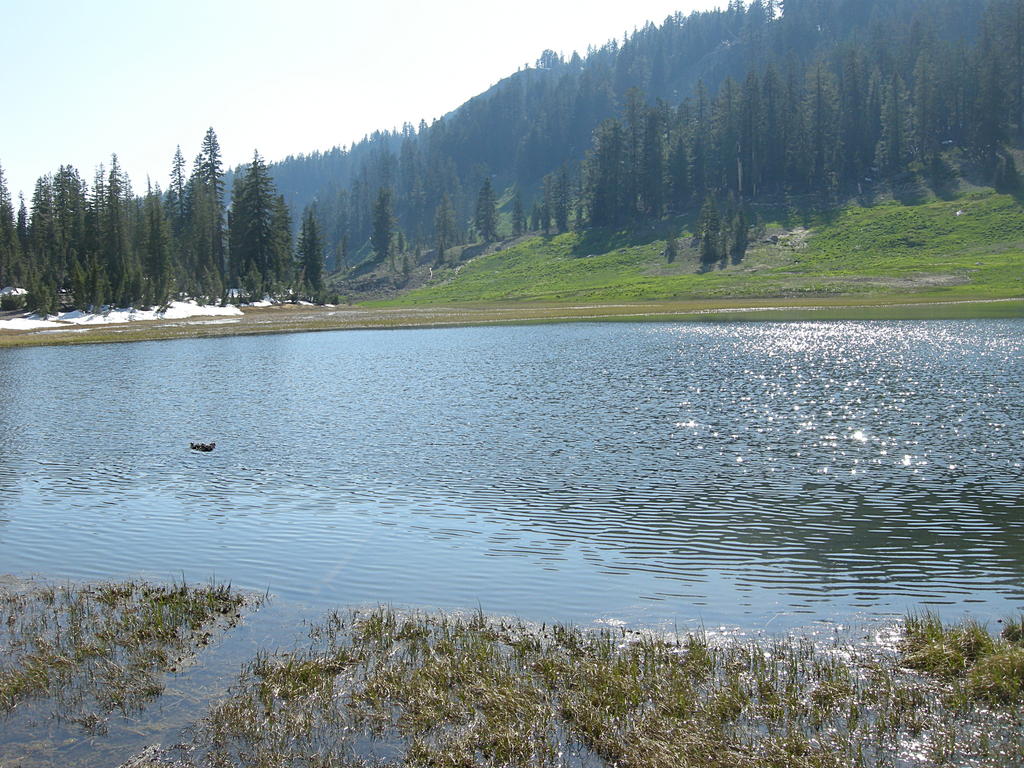 Cold Boiling Lake