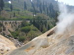 Fumarole at Sulphur Works