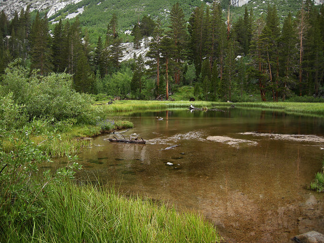 South Fork of Bishop Creek