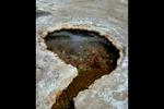 Video of a Bubbly Source at Travertine Hot Springs