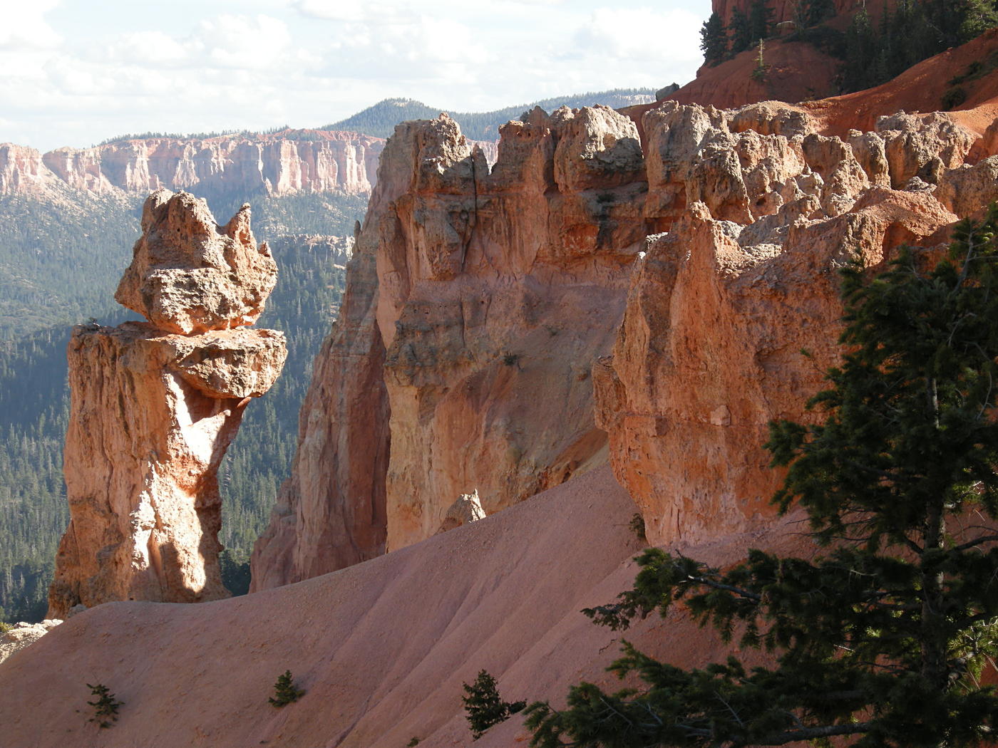 Cliff Detail