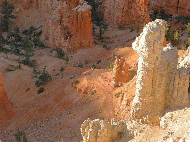 Hiking Trail Below Bryce Point