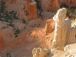 Hiking Trail Below Bryce Point