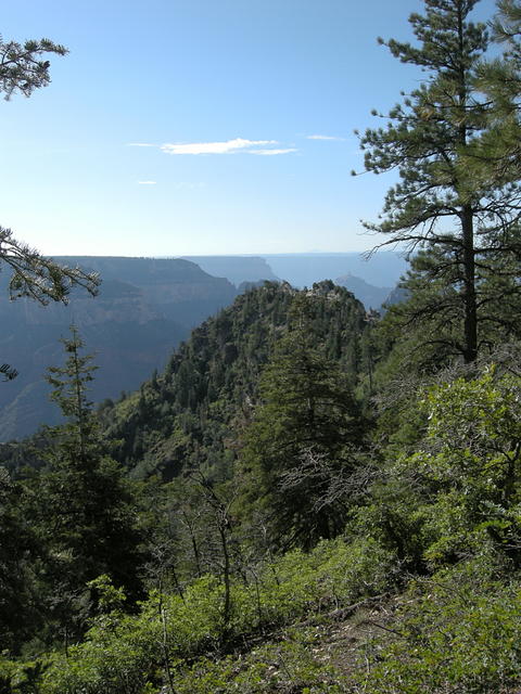 It's green at the North Rim