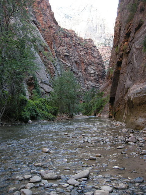 Virgin River at "The Narrows" - Zion National Park