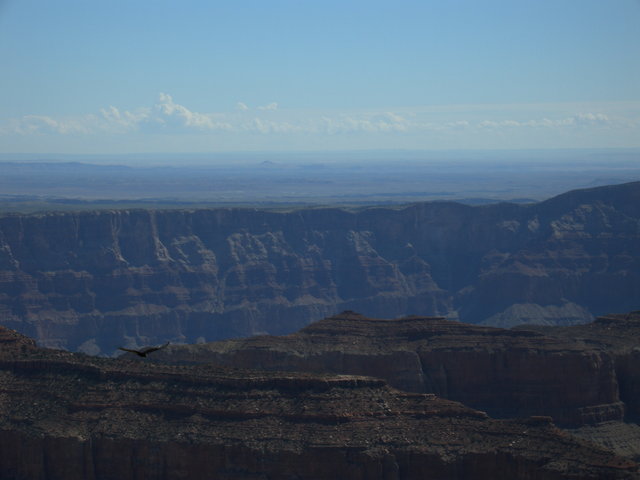 Flying over the Canyon