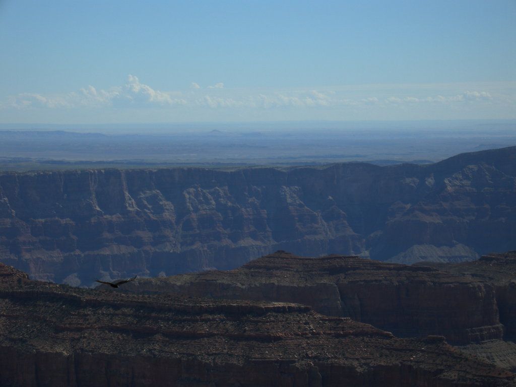 Flying over the Canyon