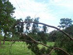 After the Sept. 13, 2008 Storm - Texas