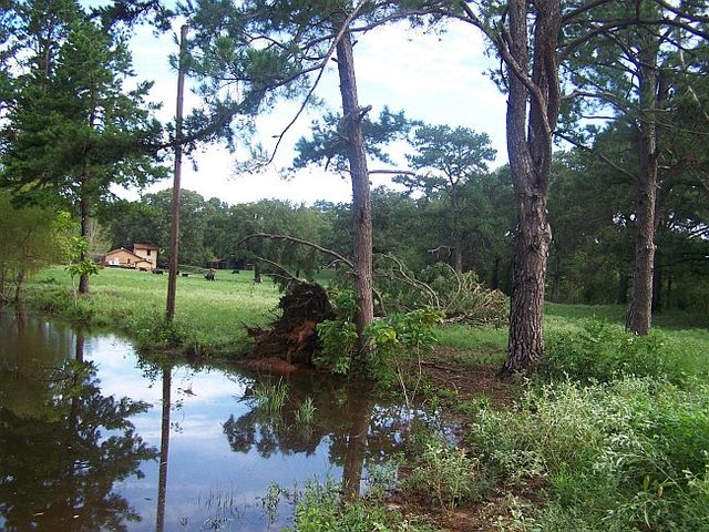 Downed Wire 3