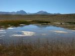 Pool Below Little Hot Creek