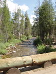 Yosemite Creek