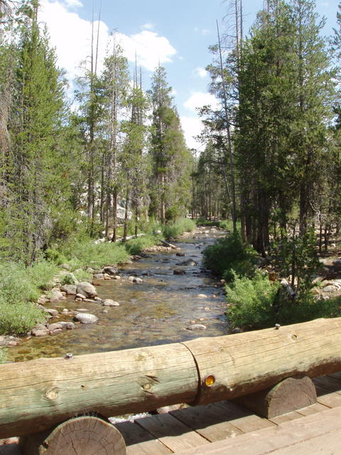 Yosemite Creek