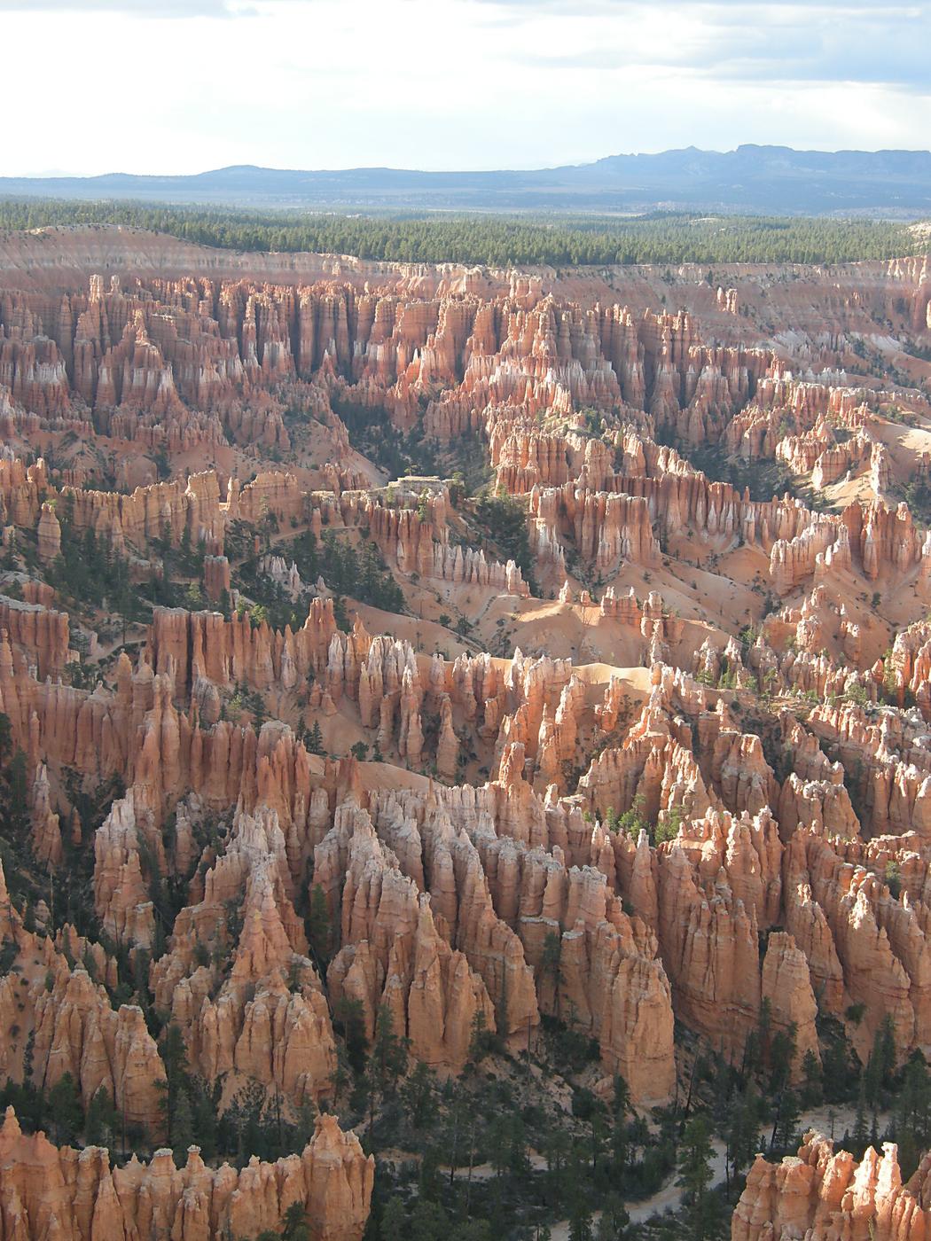 Bryce Point View