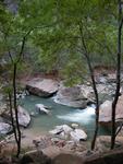 Virgin River, Zion National Park