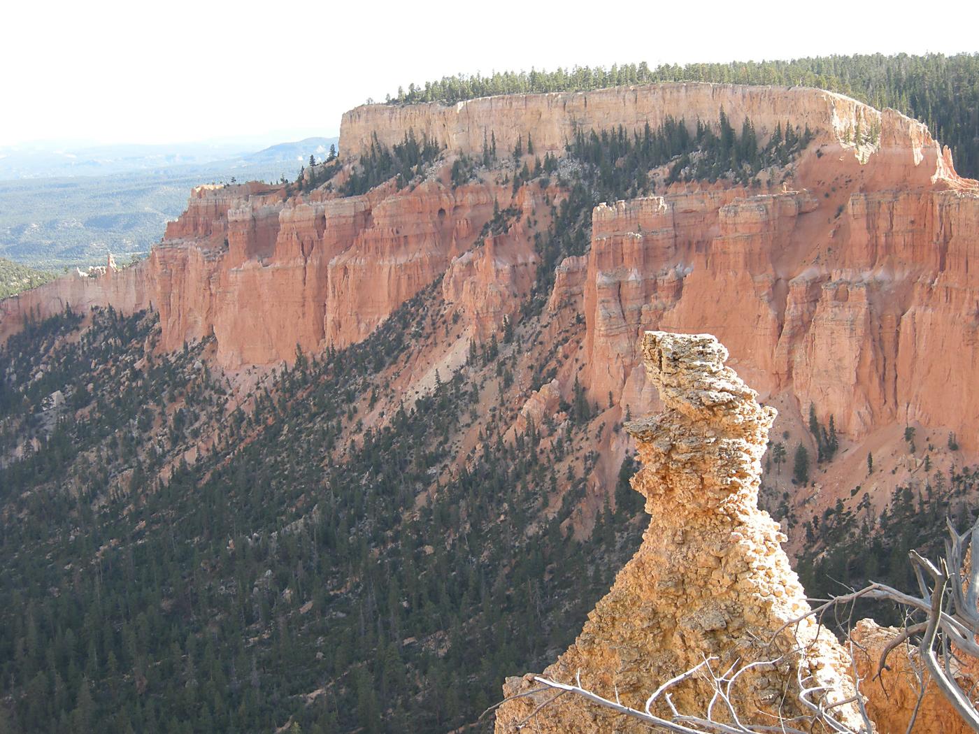 Hoodoo Top and Canyon Wall