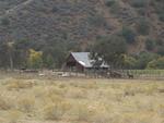 Barn and Horses