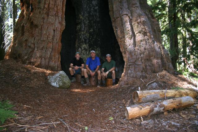 Sequoia and Yosemite Sept 2006 130