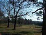 Our Pasture