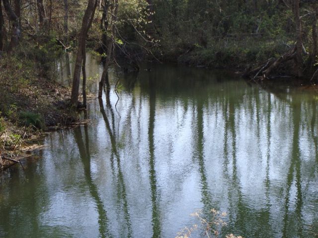 Our creek