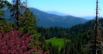 Sequoia perspective.jpg