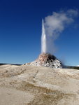 White Dome Geyser Erupting on a Clear Day