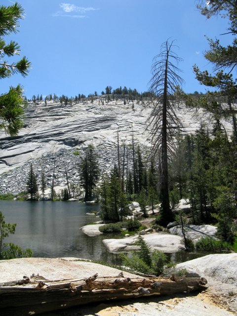 Yosemite 2009 013