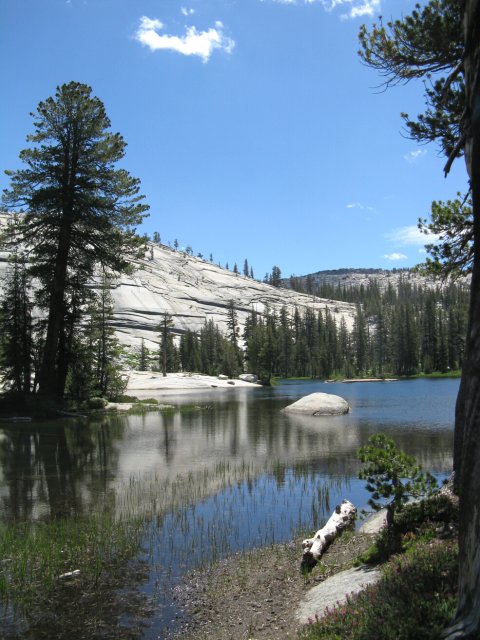 Yosemite 2009 021
