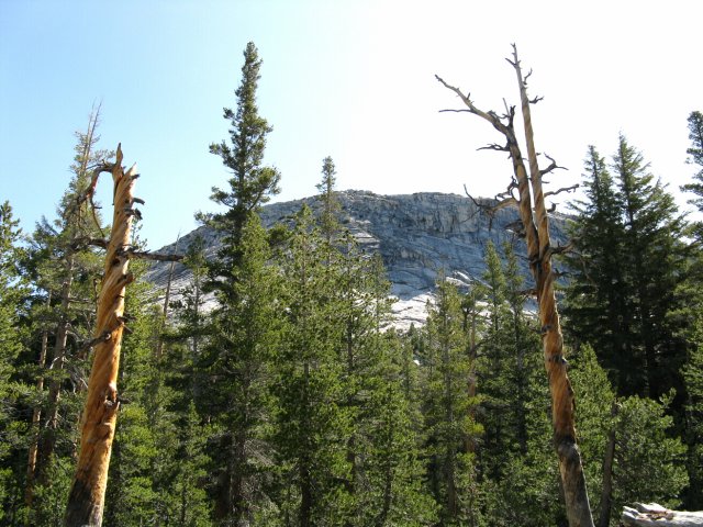 Yosemite 2009 045
