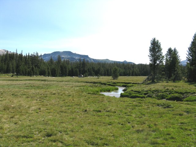 Yosemite 2009 040