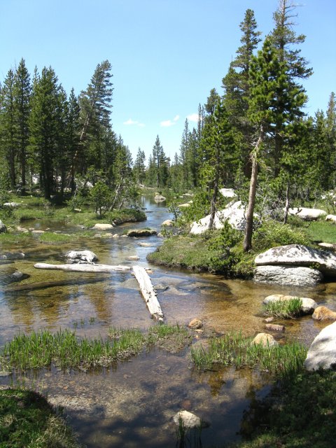 Yosemite 2009 074