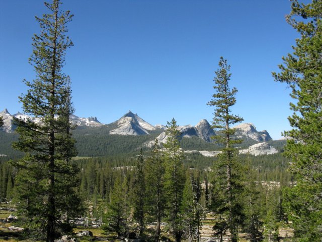 Yosemite 2009 084