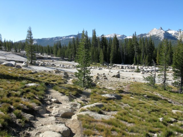 Yosemite 2009 088