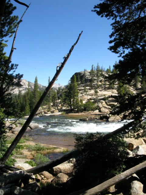 Yosemite 2009 165