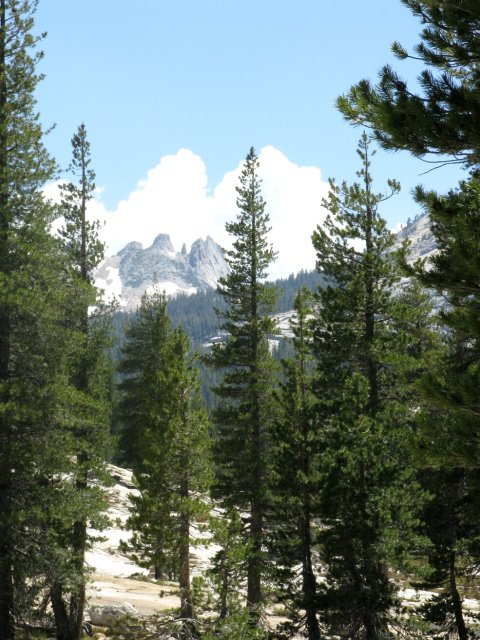 Yosemite 2009 213