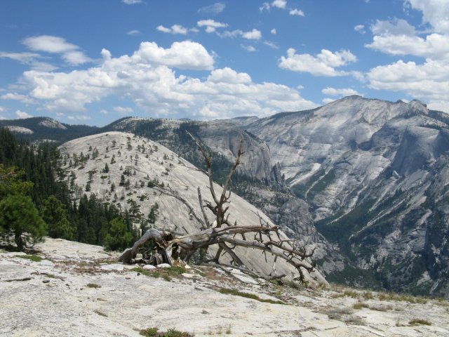 Yosemite 2009 254
