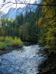 Fall color along the Merced River in Yosemite Valley