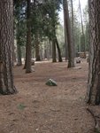 Yosemite Lower Pines Campground Site 44
