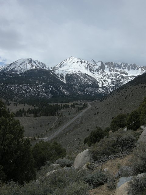 View of Lee Vining Canyon showing Highway 120 heading up to Tioga Pass