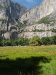Yosemite Falls in August