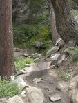 A spring on the Devils Slide Trail