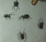 Black Widow Spiders by SKE