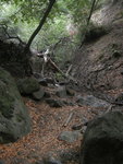 Pavil Canyon Trail