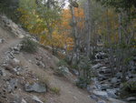 Icehouse Canyon Trail